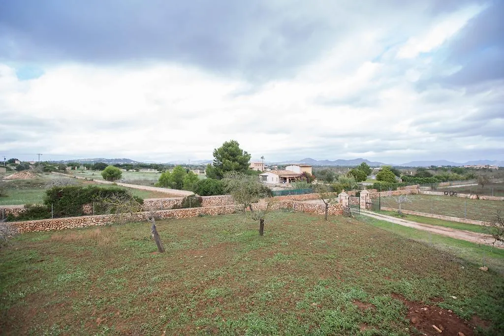 Villa Can Bordils Porto Cristo Spain